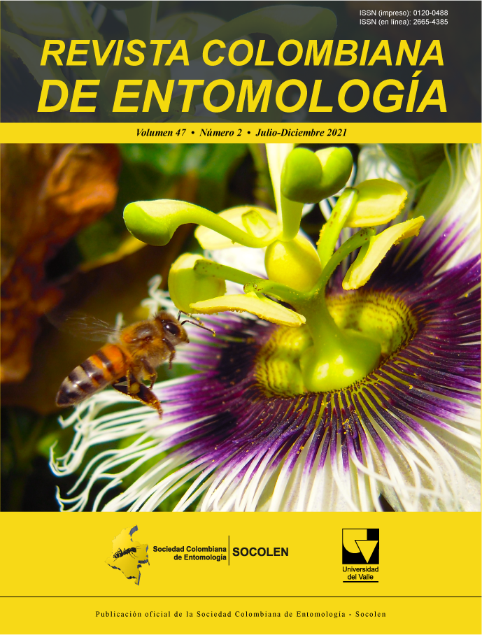 Una abeja doméstica, Apis mellifera L., 1758 (Hymenoptera: Apidae) visitando una flor de maracuyá amarillo Passiflora edulis fo. flavicarpa O. Deg. (Passifloraceae). Foto cortesía de Takumasa Kondo.